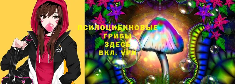 Псилоцибиновые грибы Psilocybe  что такое   Электроугли 